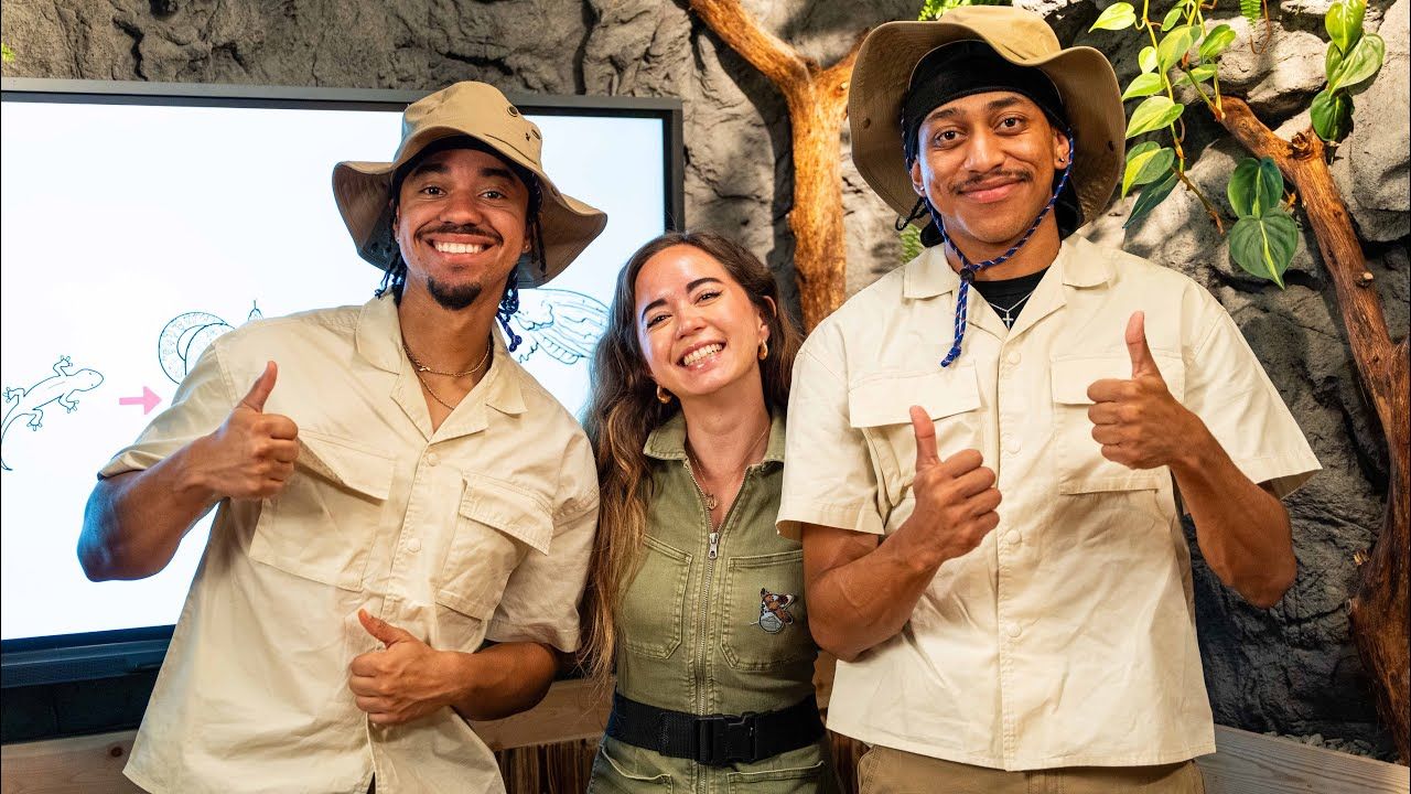 How Alveus Sanctuary Shattered Records to Become a Top Twitch Channel Worldwide